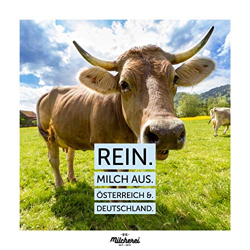 ACTIVEVITAL Polvo De Leche Puramente 800g 100% Natural