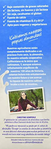 Almond Breeze Bebida de Almendra Cappuccino - Paquete de 6 x 1000 ml - Total: 6000 ml