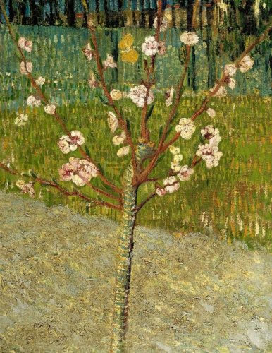 Almond tree in blossom, Vincent van Gogh. Ruled journal: 150 Lined / ruled pages, 8,5x11 inch (21.59 x 27.94 cm) Laminated