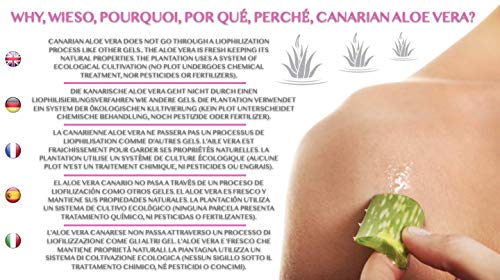 Aloe Vera - Cremas faciales y corporales, jabones de glicerina