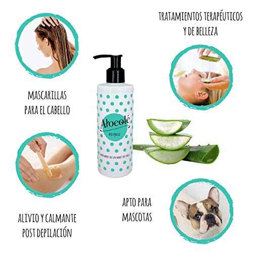 AloeOlé | Gel Aloe Vera 100% Puro y Ecológico 250 ml | Hidrata, regenera la piel y alivia las quemaduras | After Sun refrescante y calmante Post Depilación | Producido en España |