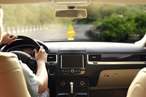 Alpin PER90508 Perfumador Pino Coche Nuevo