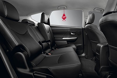 Alpin PER90508 Perfumador Pino Coche Nuevo