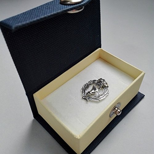 Alylosilver Insignia Profesional de Farmacia Pin para Hombre Mujer en Plata 925 con Caja para Regalo.