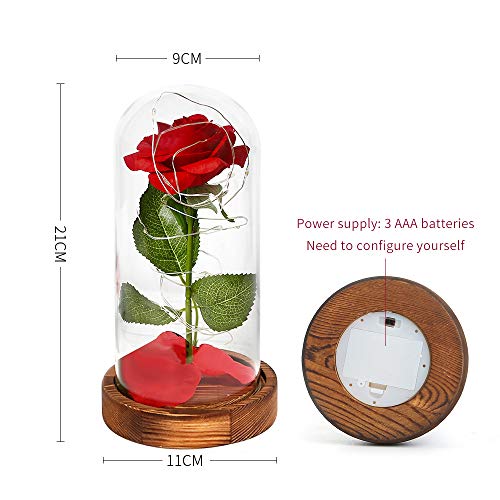 AMAYGA"La Bella y La Bestia Rosa Encantada, Elegante Cúpula de Cristal con Base Pino Luces LED, Beauty and Beast Regalos Magicos Decoración para Día de San Valentín Aniversario Bodas