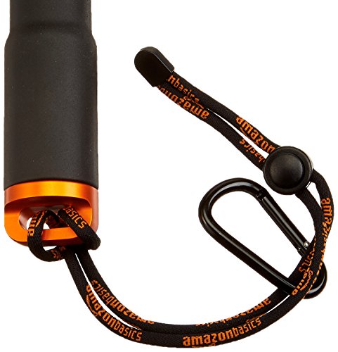 AmazonBasics - Brazo alargador remoto para GoPro