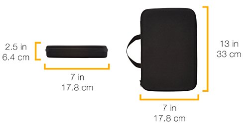AmazonBasics - Estuche de transporte para GoPro - Grande