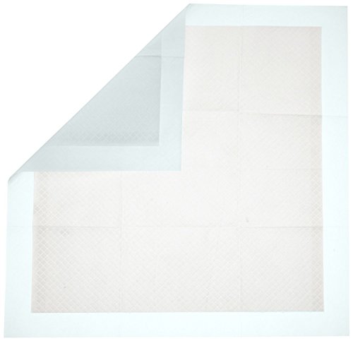 AmazonBasics - Toallitas de entrenamiento para mascotas (tamaño regular, 100 unidades)