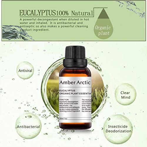 AMBER ARCTIC Eucalipto Aceite Esencial Para Difusor (30Ml), Aceite de Eucalipto de Terapia de Plantas Orgánicas Frescas 100% Puras