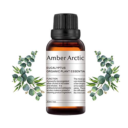 AMBER ARCTIC Eucalipto Aceite Esencial Para Difusor (30Ml), Aceite de Eucalipto de Terapia de Plantas Orgánicas Frescas 100% Puras