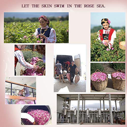 AMBER ARCTIC Rosa Aceite Esencial Para Difusor, El Crecimiento Del Cabello, 100% Pura Terapia de Plantas Orgánicas Frescas Aceite de Rosa 10Ml / 0.33Oz