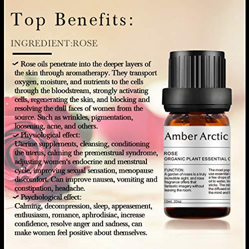 AMBER ARCTIC Rosa Aceite Esencial Para Difusor, El Crecimiento Del Cabello, 100% Pura Terapia de Plantas Orgánicas Frescas Aceite de Rosa 10Ml / 0.33Oz