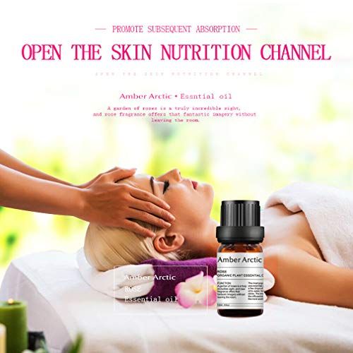 AMBER ARCTIC Rosa Aceite Esencial Para Difusor, El Crecimiento Del Cabello, 100% Pura Terapia de Plantas Orgánicas Frescas Aceite de Rosa 10Ml / 0.33Oz