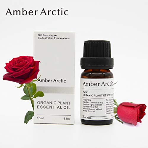 AMBER ARCTIC Rosa Aceite Esencial Para Difusor, El Crecimiento Del Cabello, 100% Pura Terapia de Plantas Orgánicas Frescas Aceite de Rosa 10Ml / 0.33Oz