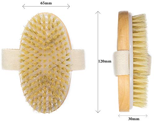 Ana Wiz - Cepillo de madera con cerdas naturales de jabalí y mango de madera de loto, 100 g