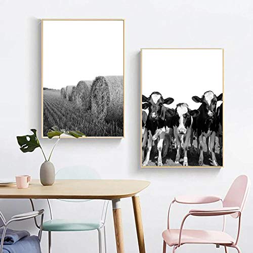Animales de granja, vaca, negro, blanco, fotografía, carteles e impresiones, granero, fardos de heno, arte de pared, lienzo, pintura, imágenes, decoración de la cocina del hogar, 50x70cmx3 sin marco