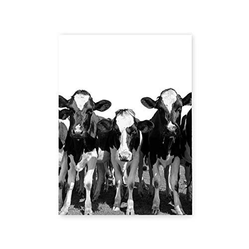 Animales de granja, vaca, negro, blanco, fotografía, carteles e impresiones, granero, fardos de heno, arte de pared, lienzo, pintura, imágenes, decoración de la cocina del hogar, 50x70cmx3 sin marco
