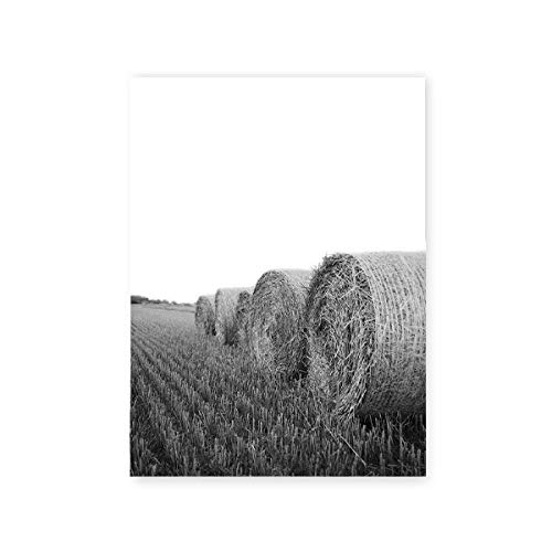 Animales de granja, vaca, negro, blanco, fotografía, carteles e impresiones, granero, fardos de heno, arte de pared, lienzo, pintura, imágenes, decoración de la cocina del hogar, 50x70cmx3 sin marco