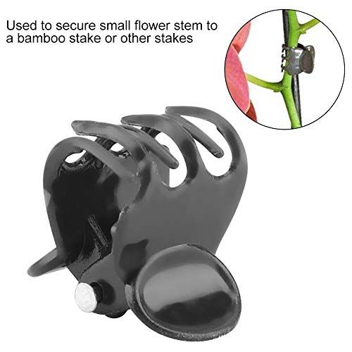 AOFOX 100 Clips para Plantas, orquídeas, orquídeas, Soporte para orquídeas, Clips de Flores y Vid para apoyar Tallos de Vid Crecer verticalmente Verde Oscuro