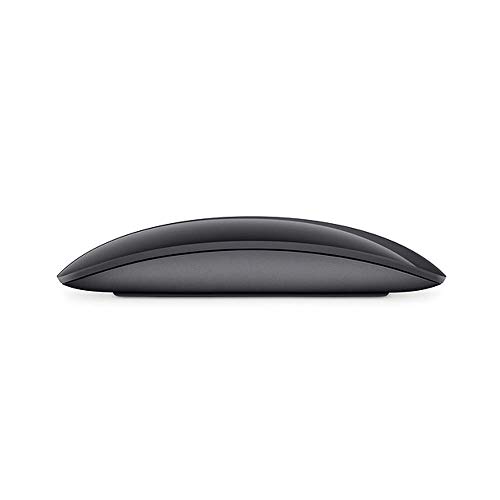 Apple Magic 2 - Mouse, Gris Espacial