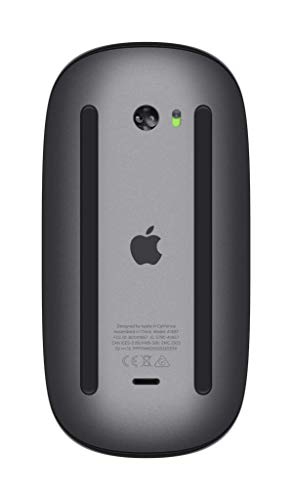 Apple Magic 2 - Mouse, Gris Espacial