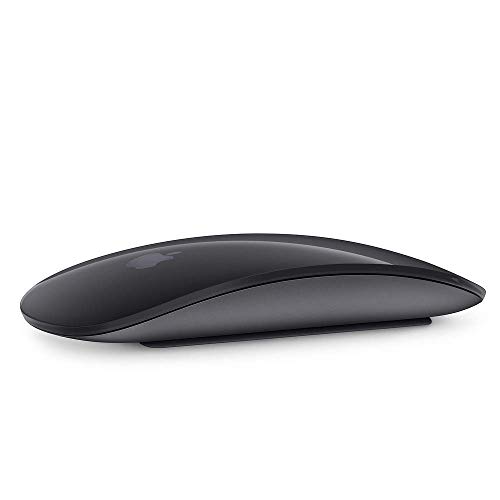 Apple Magic 2 - Mouse, Gris Espacial