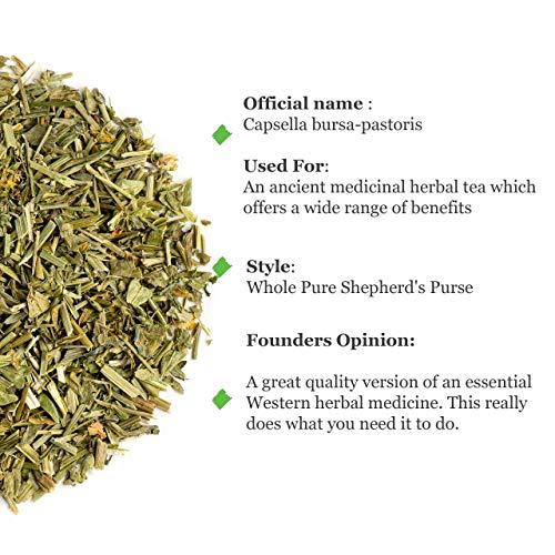 Arnica Montana Flor Te Organica - Flores De Arnica 100g