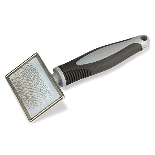 Arquivet 8435117897489 - Carda pequeña