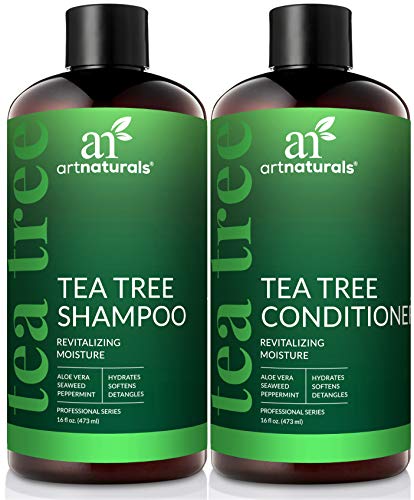 Art Naturals Juego de champú y acondicionador de aceite de árbol de té con aceite esencial de grado terapéutico para limpieza profunda de caspa, el cuero cabelludo seco y el cabello con picazón 473ml