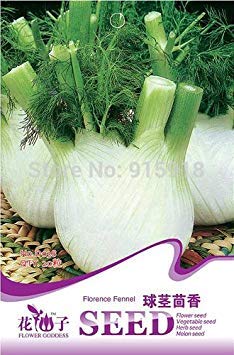 ASTONISH SEEDS: Oferta 2 x 1! (Se pueden acumular) 1 Paquete de 20 SEED Florencia Hinojo Planta de China D038