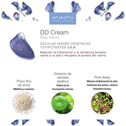 Atashi | DD Cream Stay Matte | Crema Color Hidratante Matificante | Tono Intenso | 60 g