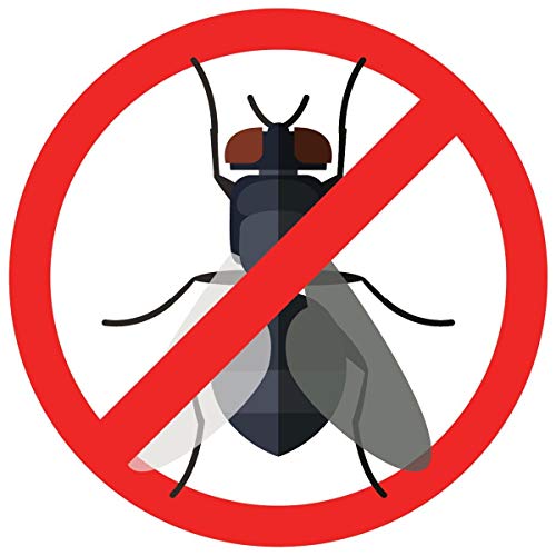 AUTAN Protección Plus Multi PROTECCIÓN CONTRA INSECTOS SPRAY 100ml - Protección contra mosquitos,tigermücken,stechfliegen Y Garrapata (4 Pack)
