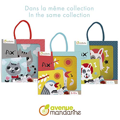 Avenue Mandarine Pix galería – Gato en cartón Marco de Fotos, Multicolor