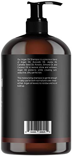 Baebody Moroccan Argan Oil Shampoo 16 Oz - Volumizing & Moisturizing, Gentle on Curly & Color Treated Hair, for Men & Women. Infused with Keratin.