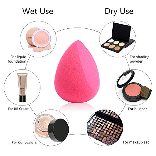 BEAKEY 4+1 Set de Esponja de Maquillaje con Brochas, Perfecto para Base Líquida, Crema y Polvo, Puffs en polvo y Brochas de Kabuki