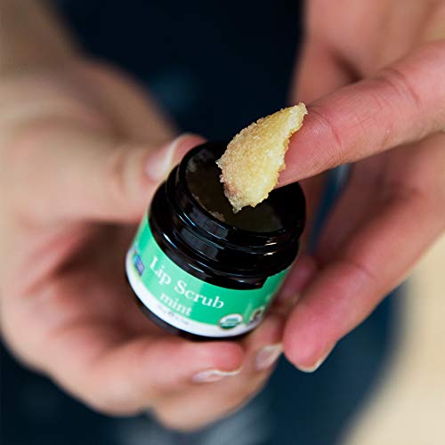 Beauty By Earth Exfoliante labial de menta orgánicos sabor- naturales exfoliantes de azúcar friega, hidrata los labios con ingredientes frescos y naturales.