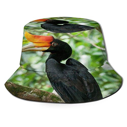 Beyond Loser Sombrero de Pescador Aves de cálao en el Bosque Algodón Plegable Bucket Hat para Excursionismo Cámping De Viaje Pescar