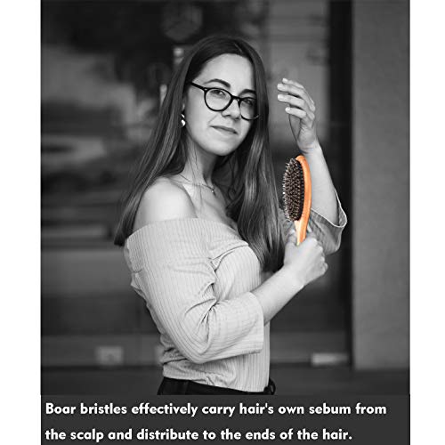 BFWood Cepillo de Pelo con Cerdas de Jabalí y Peine para Cabello Normal a Mediano