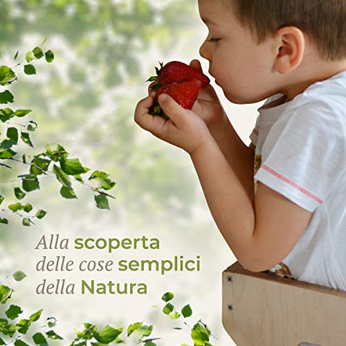 Bianconiglio Kids ® EVO 2019 Torre de Aprendizaje Montessori Acabado Transparente, Madera Vista, Regulable en Altura (Solo Madera Natural)