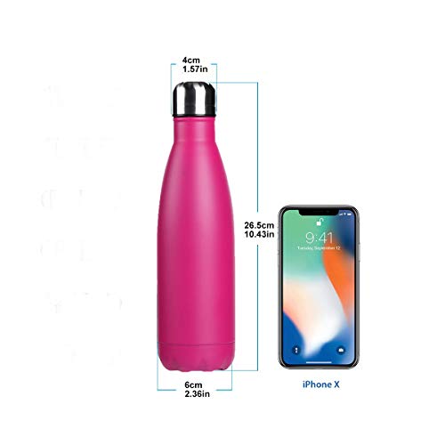 BICASLOVE Botella de Agua de Acero Inoxidable,Diseño de Pared Doble,Boca EstáNdar,para Correr,Gimnasio,Yoga,Ciclismo,500ML,Rosado