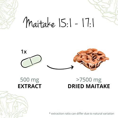 BIO Maitake Vegavero® | La dosis más alta 7500 mg | 50% de Polisacáridos | Sin Aditivos | Testado | Sistema Inmunológico + Estrés & Ansiedad + Adaptógeno | 60 Cápsulas | TCM