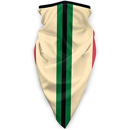 Bklzzjc Southwest Asia Service Medal Ribbon Unisex Bufanda Deportiva a Prueba de Viento Calentador de Cuello al Aire Libre Bandana Pasamontañas Sombreros