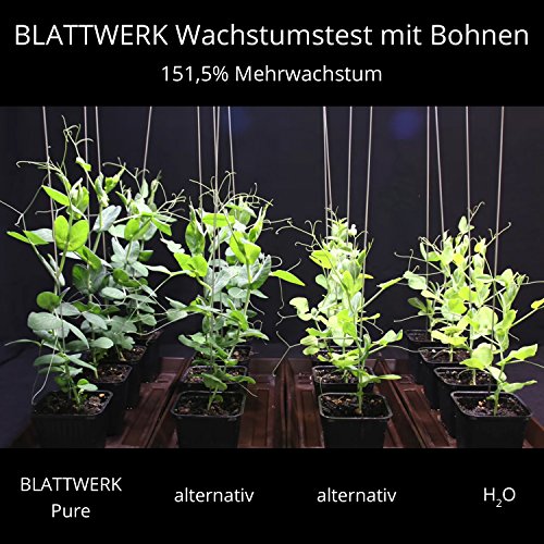 BLATTWERK Pure - 1.000ml: fertilizante 100% orgánico y vegano, completos nutrientes líquidos de hierbas, para plantas de interior y jardín, con aminoácidos, ácidos lácticos, azúcares y minerales. …