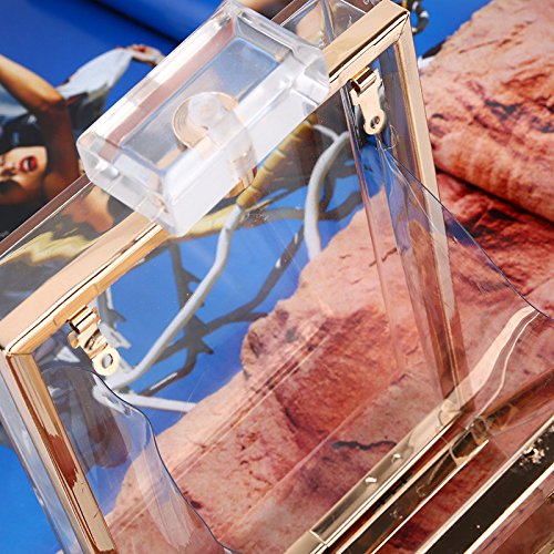 Bolso del Bolso del Baile de fin de Curso Del Bols Bolso de mano del vestido de noche Bolso de perfume de la señora Forma Bolso de mano duro transparente único Bolso de hombro pequeño casual Bolso de