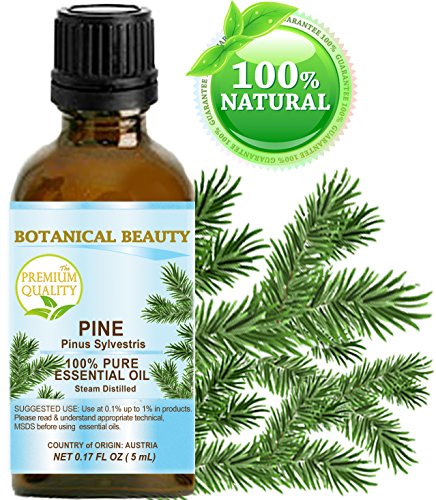Botanical Beauty PINE ESSENTIAL OIL. Aceite esencial de grado terapéutico 100% puro, calidad superior, sin diluir. 0.17 Fl.oz.- 5 ml.