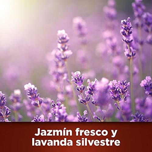 Botanical Origin Detergente para lavadora ecológico apto para pieles sensibles, Fragancia Jazmín Fresco y Lavanda Silvestre - 70 lavados