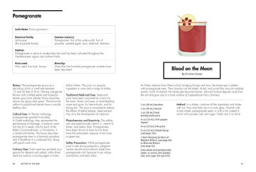 Botany at the Bar: The Art and Science of Making Bitters