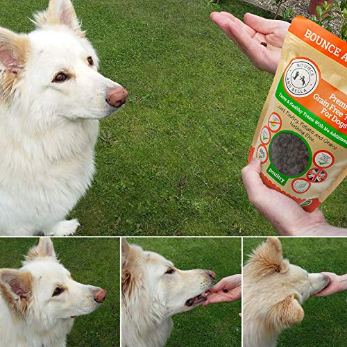 Bounce and Bella Premios para Perro Sin Cereales Bolsa de 800 Snacks Sabrosos y Saludables – 80% Carne Fresca de Ave, 20% Patata y Boniato – Premios Hipoalergénicos para Perros de Estómago Sensible