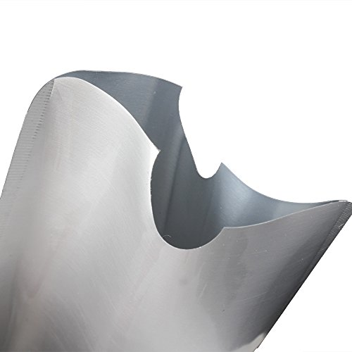 BQLZR N12172 - Fundas para tarjetas de crédito y pasaportes (impermeables, protección RFID contra robos, 10 unidades), plata