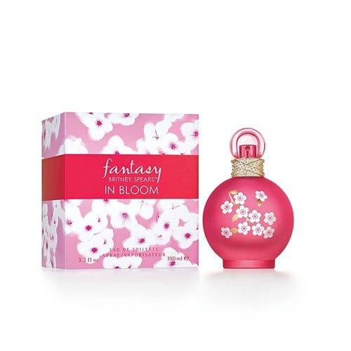 Britney Spears Fantasy in bloom Eau de Toilette 100 ml